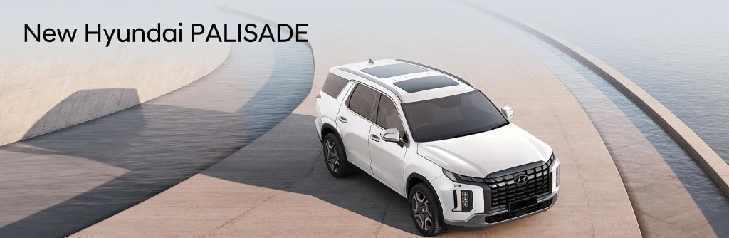 Hyundai Palisade Slider